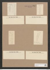 Diatomeae indet. Zeichnungen Sammlung Grunow Nr. 2812 (NHMW-BOT-W0370112)